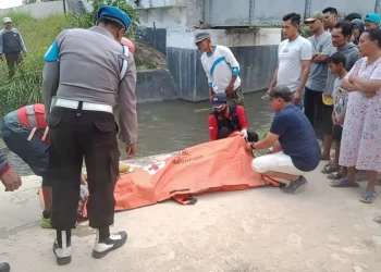 Petugas mengevakuasi jenazah korban.