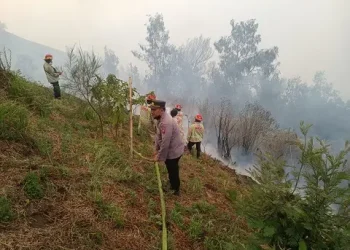 Petugas melakukan upaya pemadaman api yang membakar hutan di Desa Ngadas.