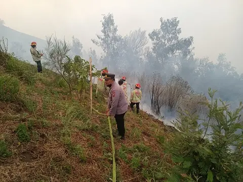 Petugas melakukan upaya pemadaman api yang membakar hutan di Desa Ngadas.