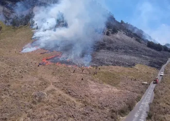 Kebakaran di kawasan wisata Bromo