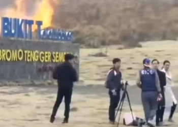 Flare Pre-wedding Estetik Diduga Biang Kebakaran di Bukit Teletubbies Bromo