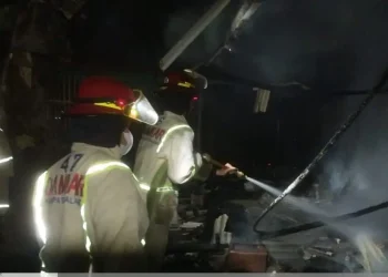 kandang ayam dan kambing terbakar