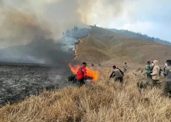 savana bromo