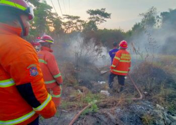 kebakaran lahan kering di Kota Malang
