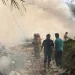 aktivitas bakar sampah