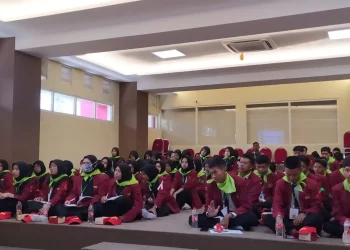 vokasi umm
