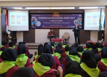 vokasi umm