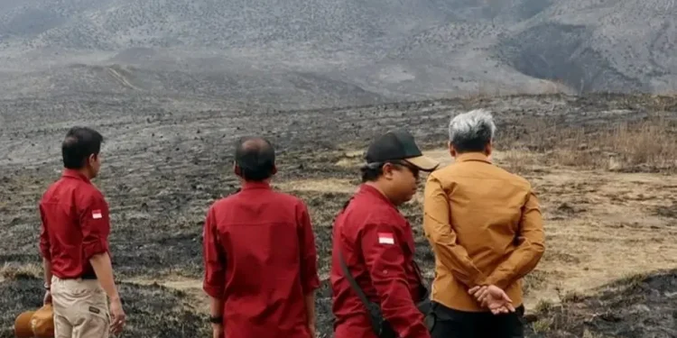 gunung bromo