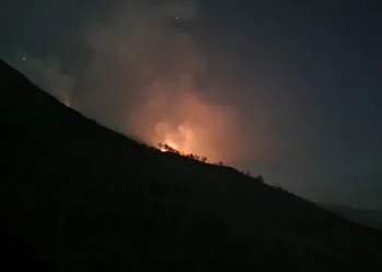Terbakar - Tumbuhan Habis Terbakar, Arjuno Rawan Longsor Saat Musim Hujan