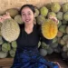 durian