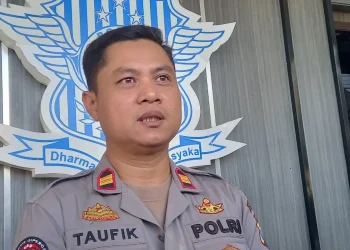 Pengemudi