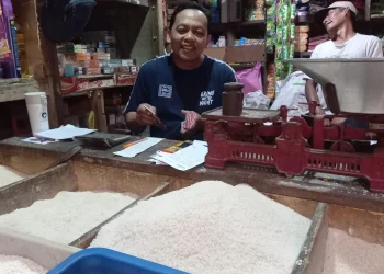 harga beras