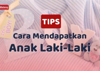 cara mendapatkan anak laki-laki