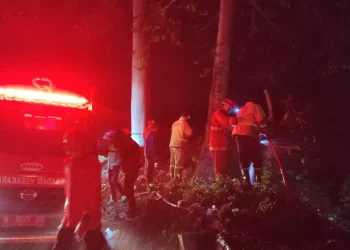 Petugas pemadam kebakaran melakukan penanggulangan di Wagir.