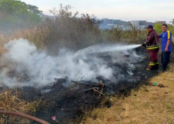 Petugas berjibaku memadamkan kebakaran lahan kering di Kota Malang.