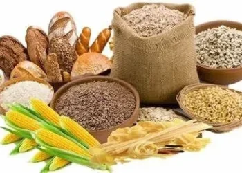 Ilustrasi bahan makanan yang mengandung karbohidrat.