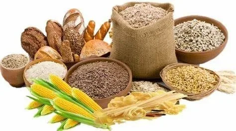 Ilustrasi bahan makanan yang mengandung karbohidrat.