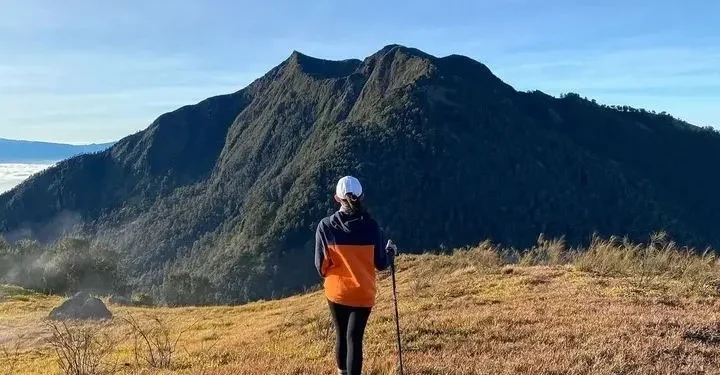 Ilustrasi hiking di Gunung Arjuno.