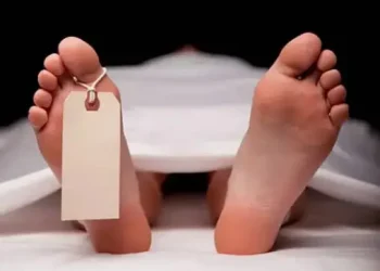 Ilustrasi.