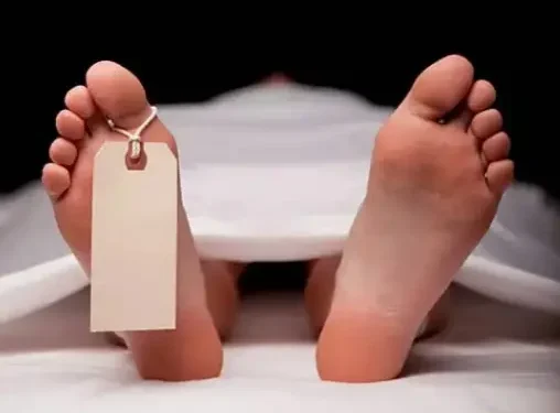 Ilustrasi.