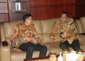 Pj Wali Kota Malang ikuti rakor bersama BPK RI.