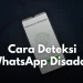 Cara mendeteksi whatsapp sedang disadap orang lain.