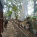 Petugas menertibkan reklame yang langgar aturan di Kabupaten Malang.
