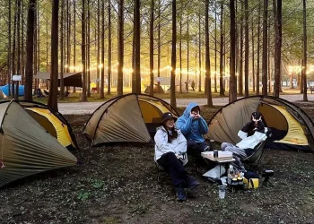 Ilustrasi tempat camping di Malang Raya.