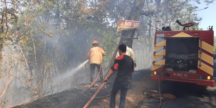 Petugas melakukan penanggulangan kebakaran di hutan jati yang berada di Gunung Geger. Foto: Polsek Pagak