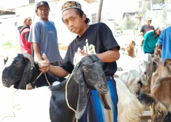 Penyerahan bantuan Baznas Jatim ke Pesantren Rakyat Al-Amin.