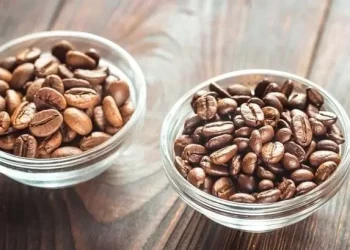 Penikmat Kopi Harus Tahu! Ini dia 5 Perbedaan Kopi Robusta dan Arabika