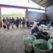 menteri lhk