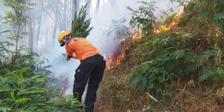 Petugas melakukan pemadaman secara manual di lahan terbakar di Lereng Perbukitan Goa Pinus, Jl. Argomulyo Dusun Brau Desa Gunungsari Kecamatan Bumiaji Kota Batu. Foto: BPBD Kota Batu