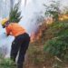 1 Hektar Lahan di Goa Pinus Kota Batu Terbakar