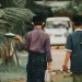 orang tua