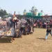 Semarakkan Bantengan di Kabupaten Malang, Bupati Upayakan Anggaran dan Event Kesenian