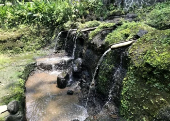 Petirtaan Ngawonggo