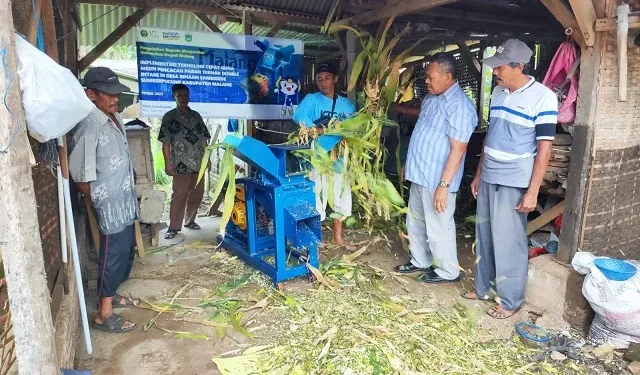 Pengabdian kepada masyarakat yang dilakukan UM pada peternak Desa Sambigede.