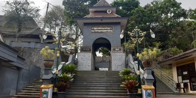 teliti pesugihan