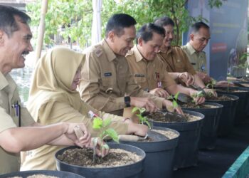 Pj Wali Kota Malang salurkan bantuan bibit cabai di Balai Benih Ikan Tlogowarh.