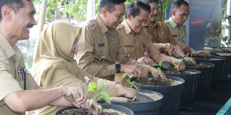 Pj Wali Kota Malang salurkan bantuan bibit cabai di Balai Benih Ikan Tlogowarh.