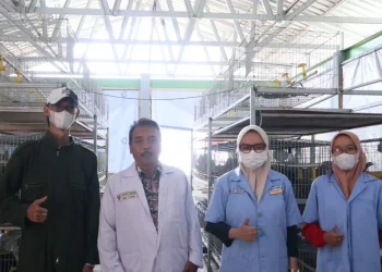 Tim penelitian dosen fakultas peternakan unisma dalam proses pengembangan dengan mitra.