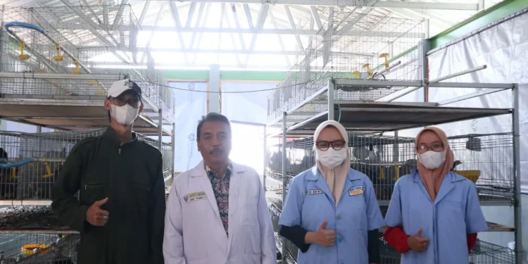 Tim penelitian dosen fakultas peternakan unisma dalam proses pengembangan dengan mitra.