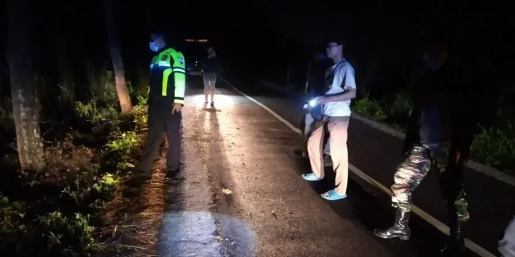 Petugas melakukan olah TKP di lokasi laka tunggal di Ngadas.