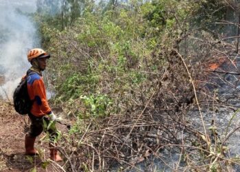 Penanganan kebakaran yang melanda kawasan Gunung Panderman di Kota Batu. Api baru dapat dipastikan padam pada Kamis (23/11/2023).