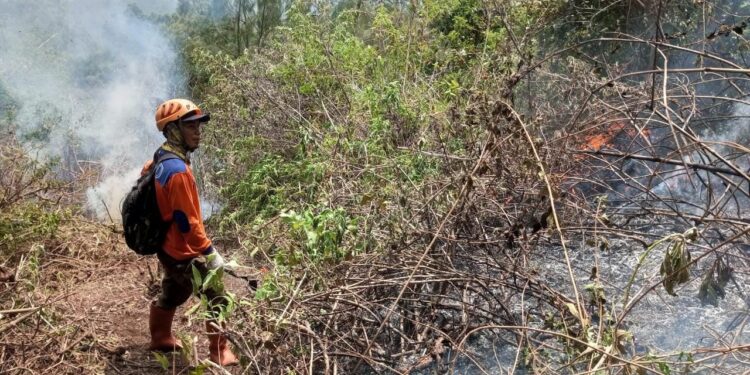 Penanganan kebakaran yang melanda kawasan Gunung Panderman di Kota Batu. Api baru dapat dipastikan padam pada Kamis (23/11/2023).