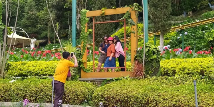 Keindahan hamparan bukit lumut di Selecta Kota Batu yang baru saja dipermak.