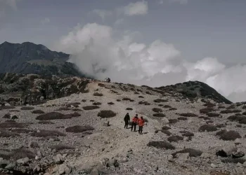 Suasana di Gunung Arjuno.