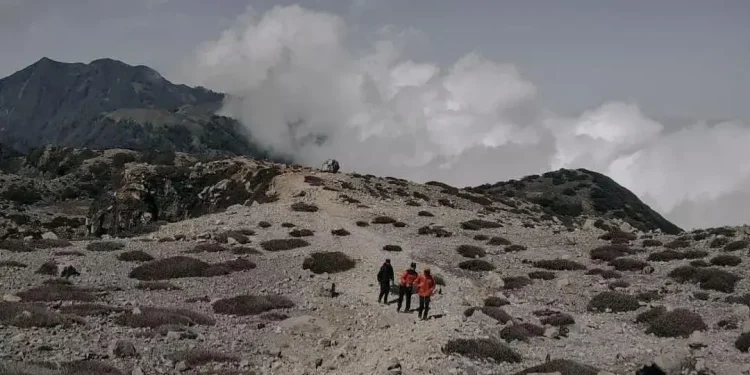 Suasana di Gunung Arjuno.