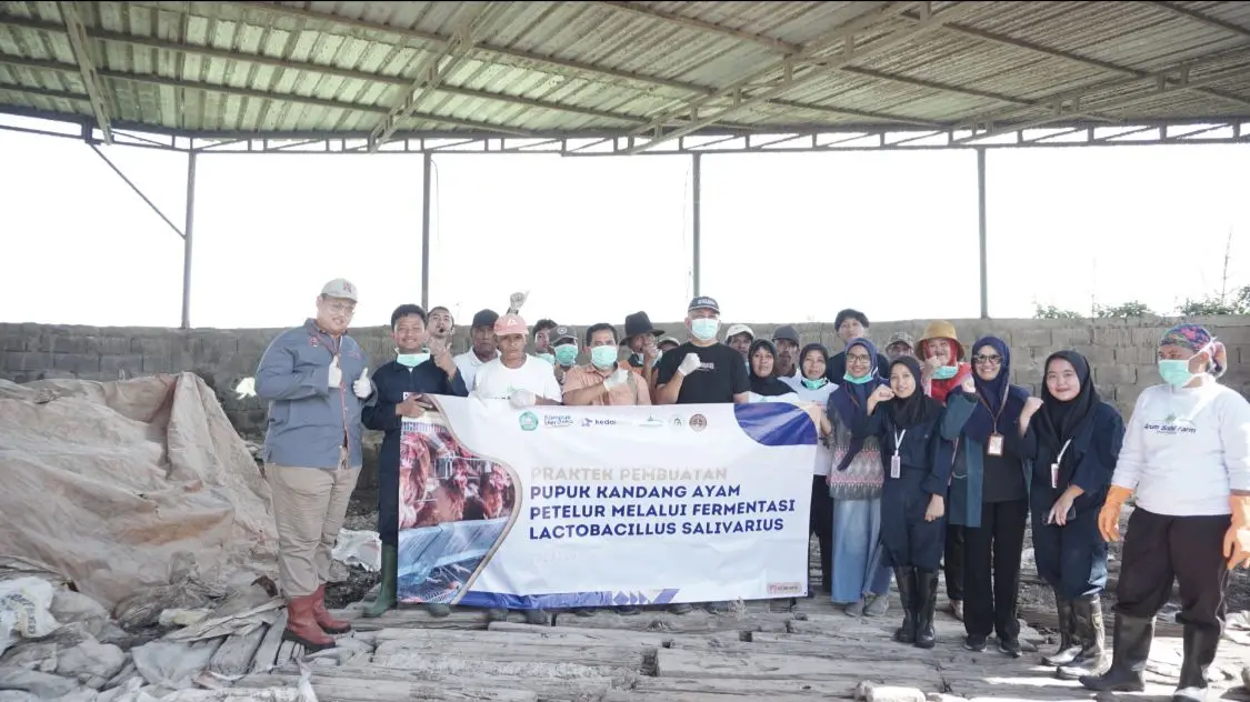 Proses penelitian tim dosen Unisma dalam mengembangkan inovasi telur rendah kolesterol.